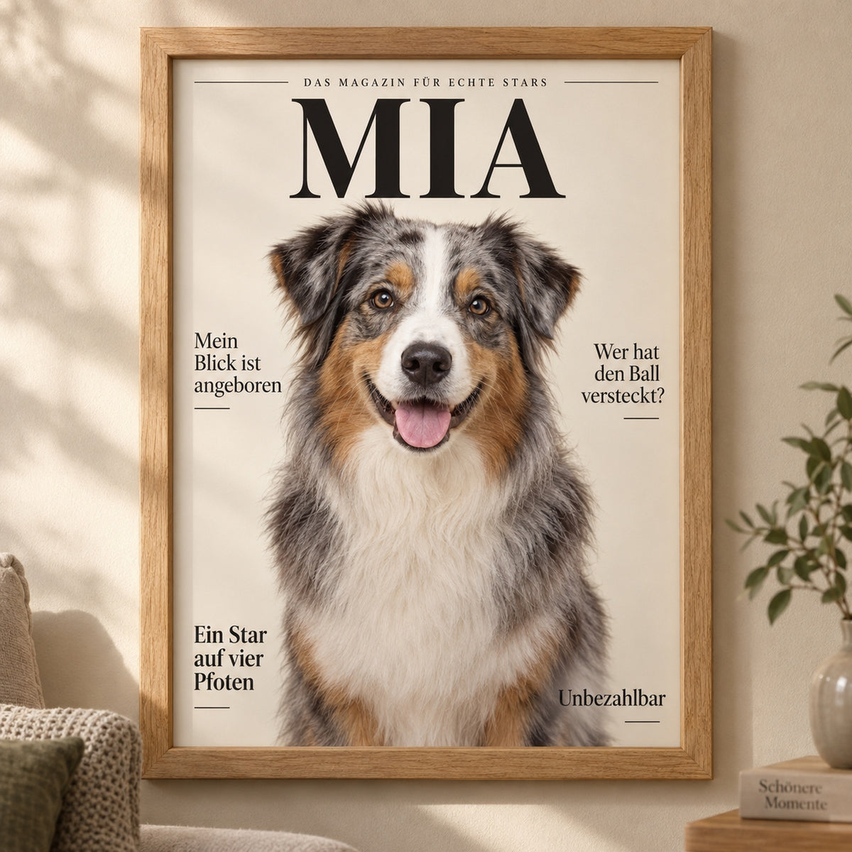Australian Shepherd Portrait und Geschenke