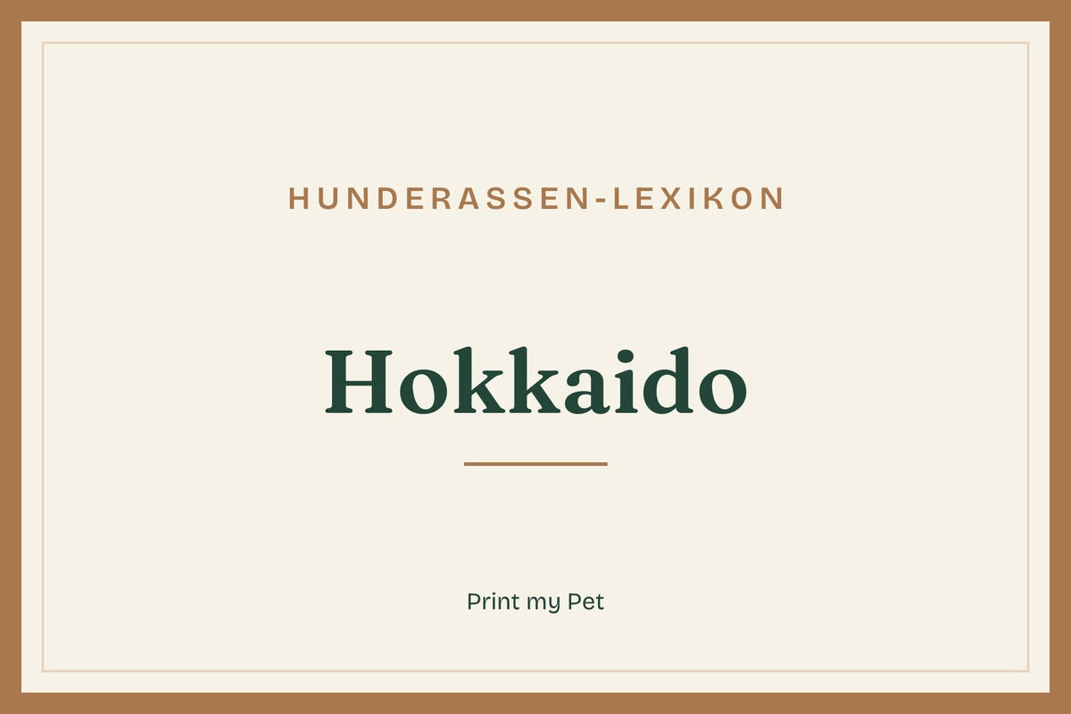 Titelgrafik Hunderassen-Lexikon: Hokkaido