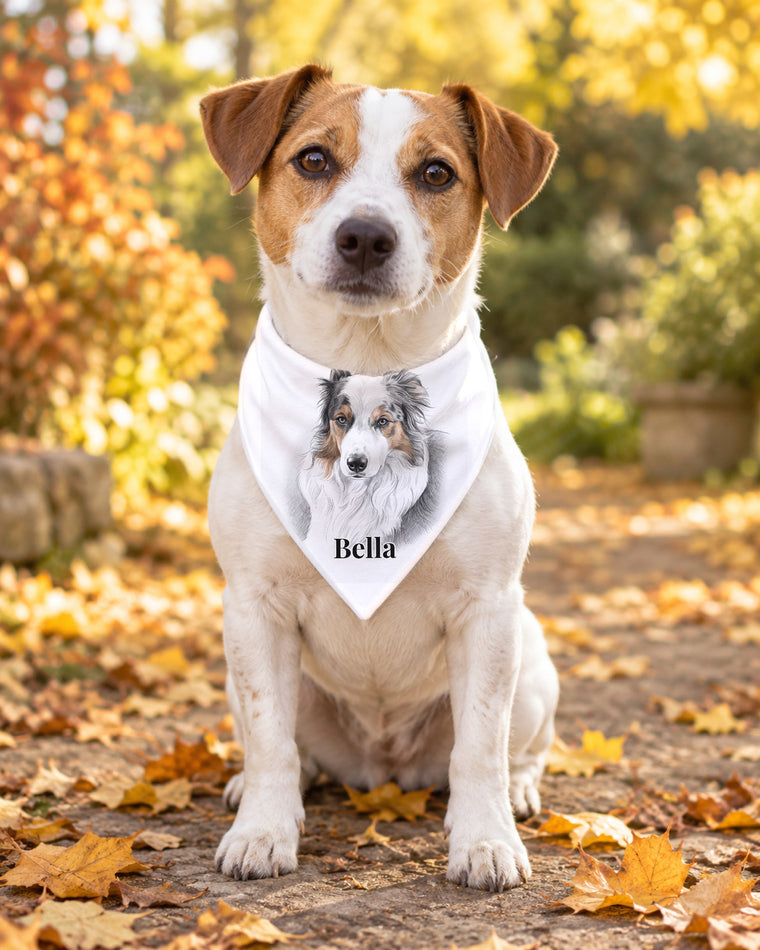 Hundehalstuch mit Hundeportrait im Sketch-Stil und Namen Bella am Jack Russell im Herbstlaub
