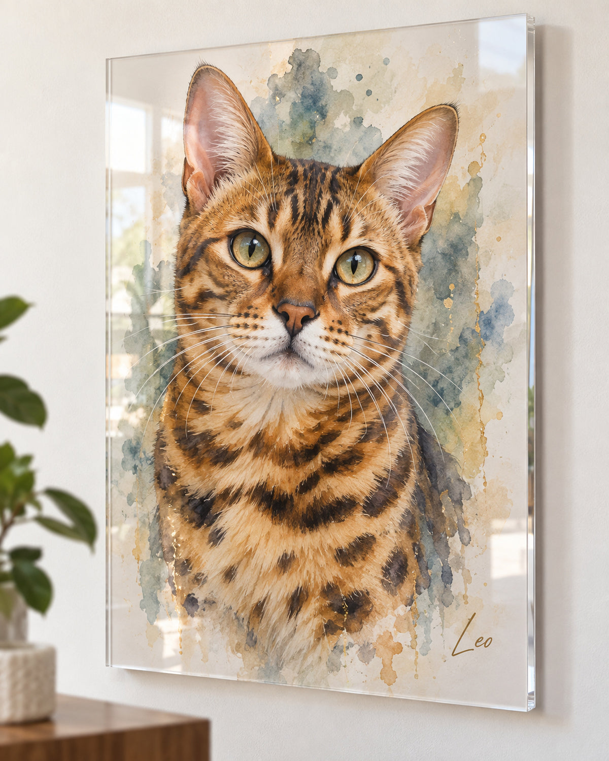 Katzenportrait auf Acrylglas: Bengal mit dem Namen Leo