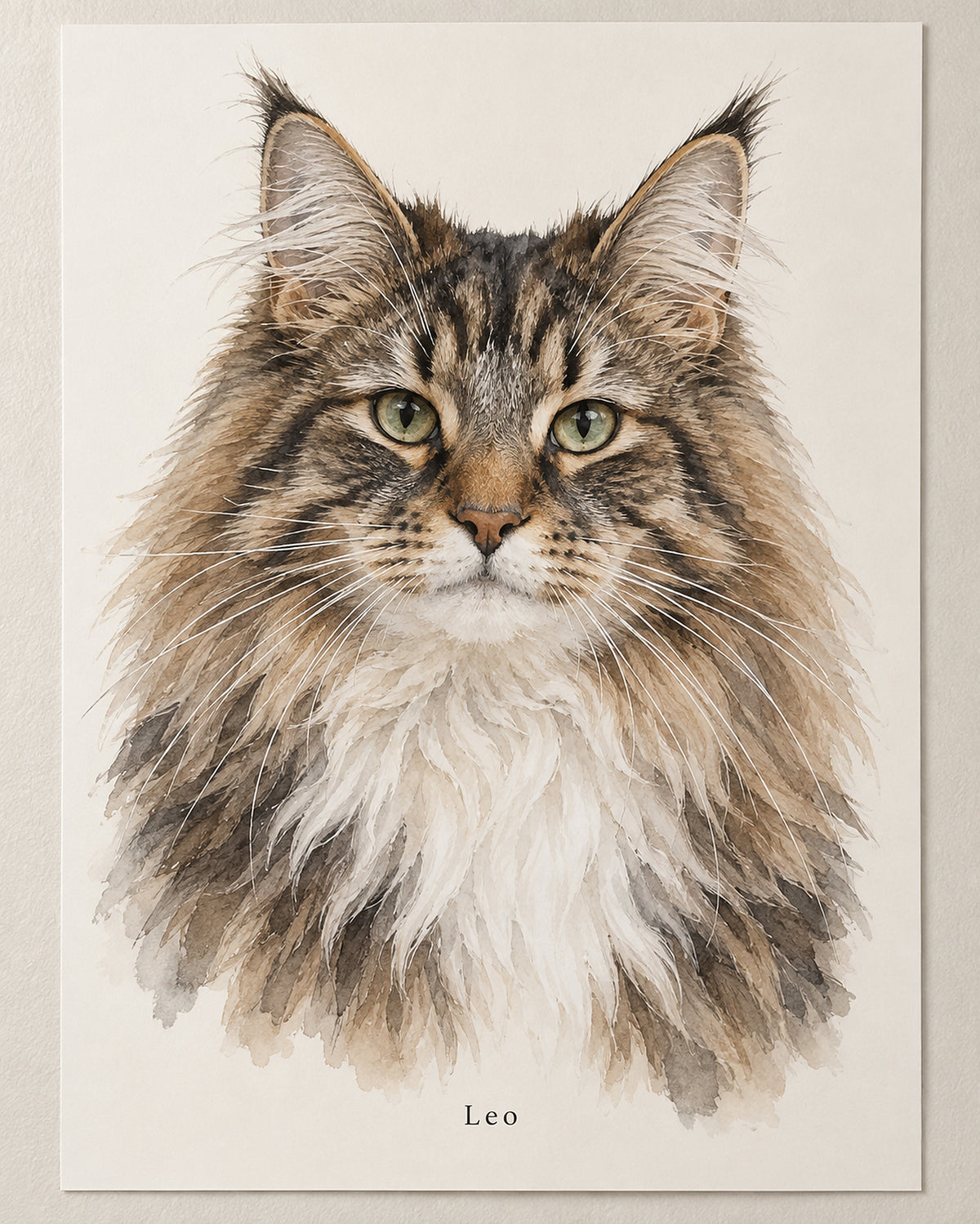 Katzenportrait als Poster: Norwegische Waldkatze mit dem Namen Leo