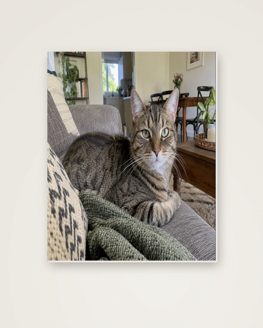 Katzenportrait als Original auf Hartschaumplatte, Beispiel