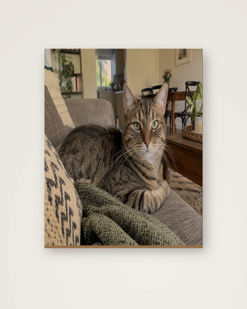 Katzenportrait als Original auf Holz, Beispiel