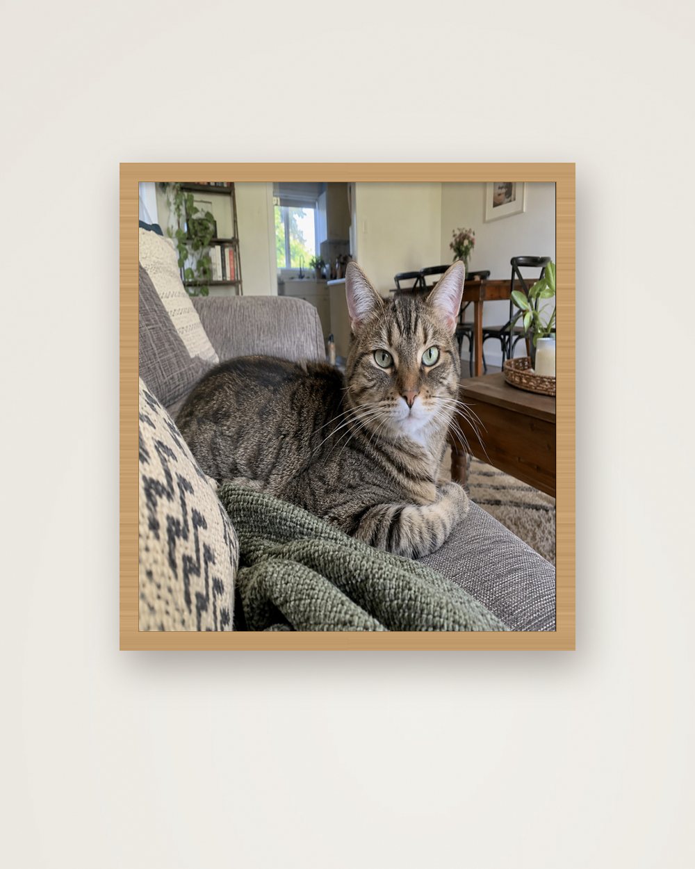 Katzenportrait als Original als Poster im Holzrahmen, Beispiel