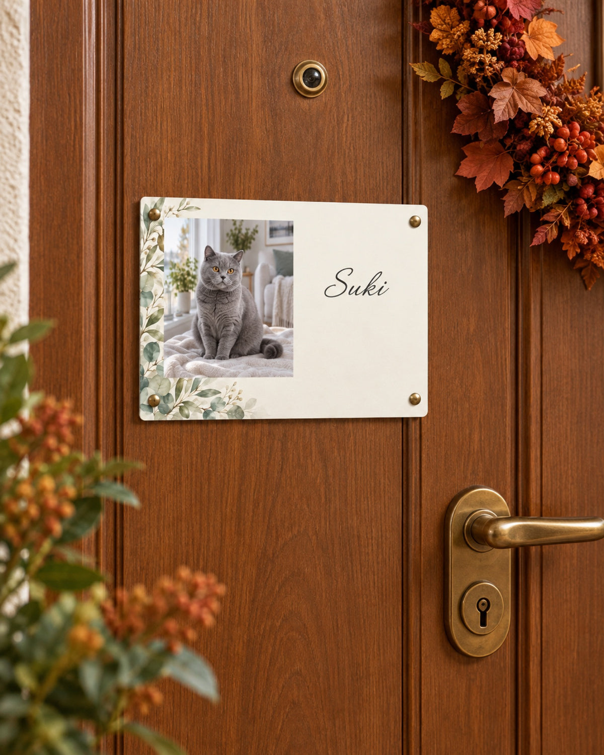 Türschild mit Britisch Kurzhaar Suki an einer warmen Holztür im Herbst