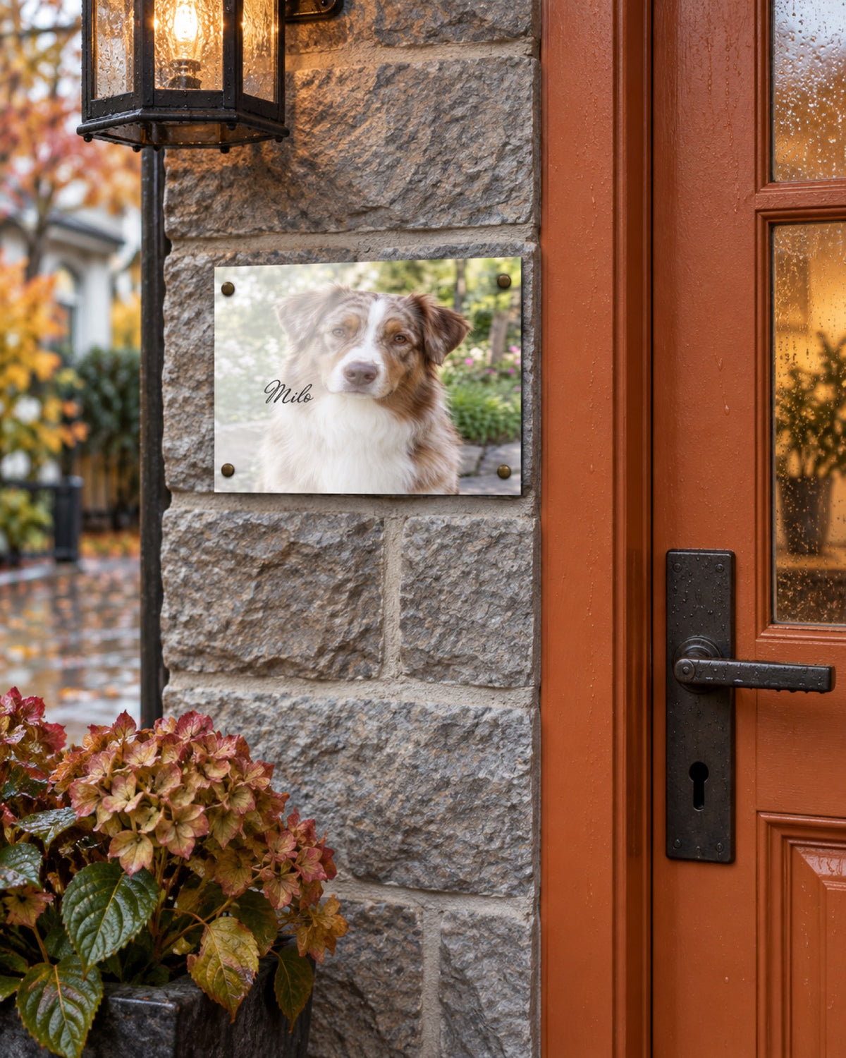 Türschild mit Australian Shepherd Milo an einer grauen Steintür im Herbst